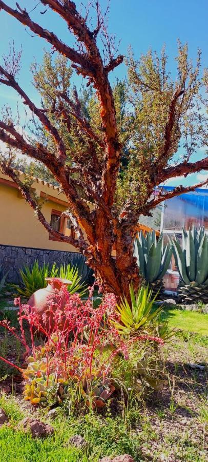 Tradicion Colca Hotel Yanque Exterior photo