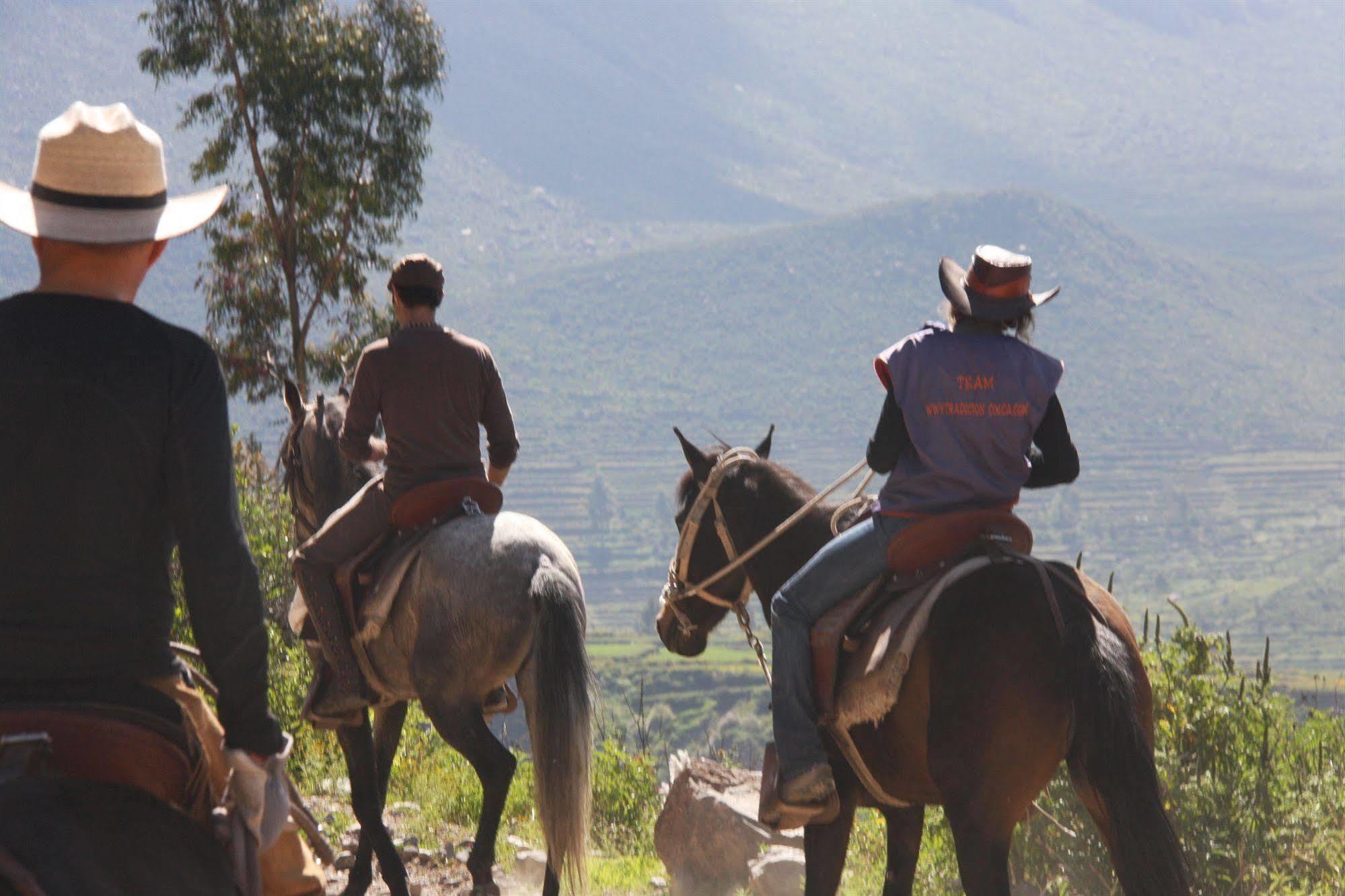 Tradicion Colca Hotel Yanque Exterior photo